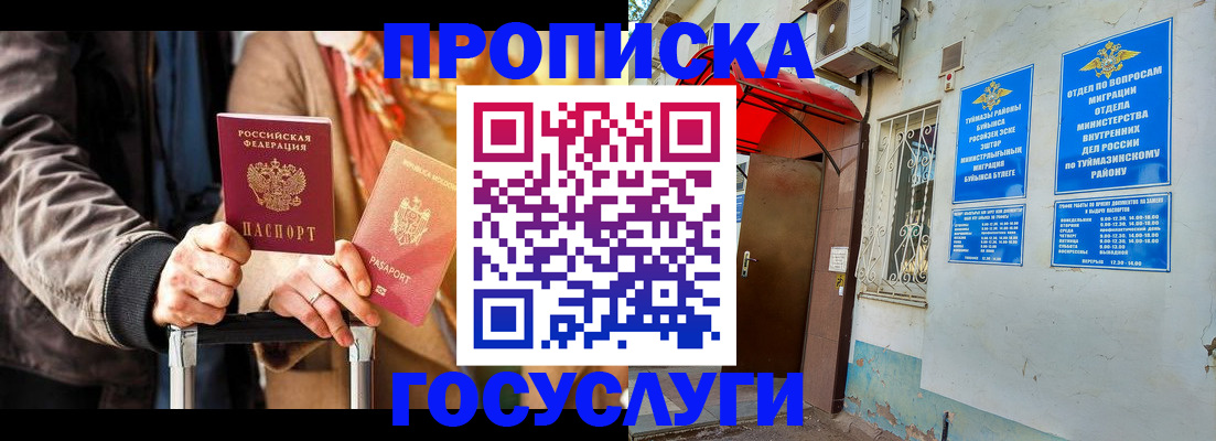 прописка гарантия в Купино
