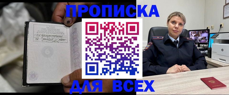 где прописаться в Купино